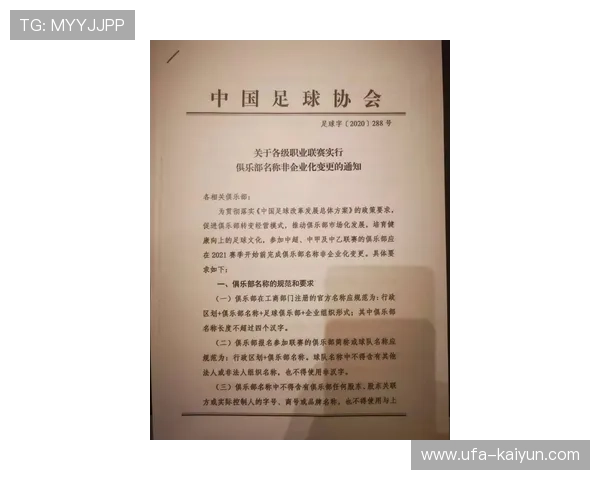 财务公平法案执行情况：意甲俱乐部财政健康度评估